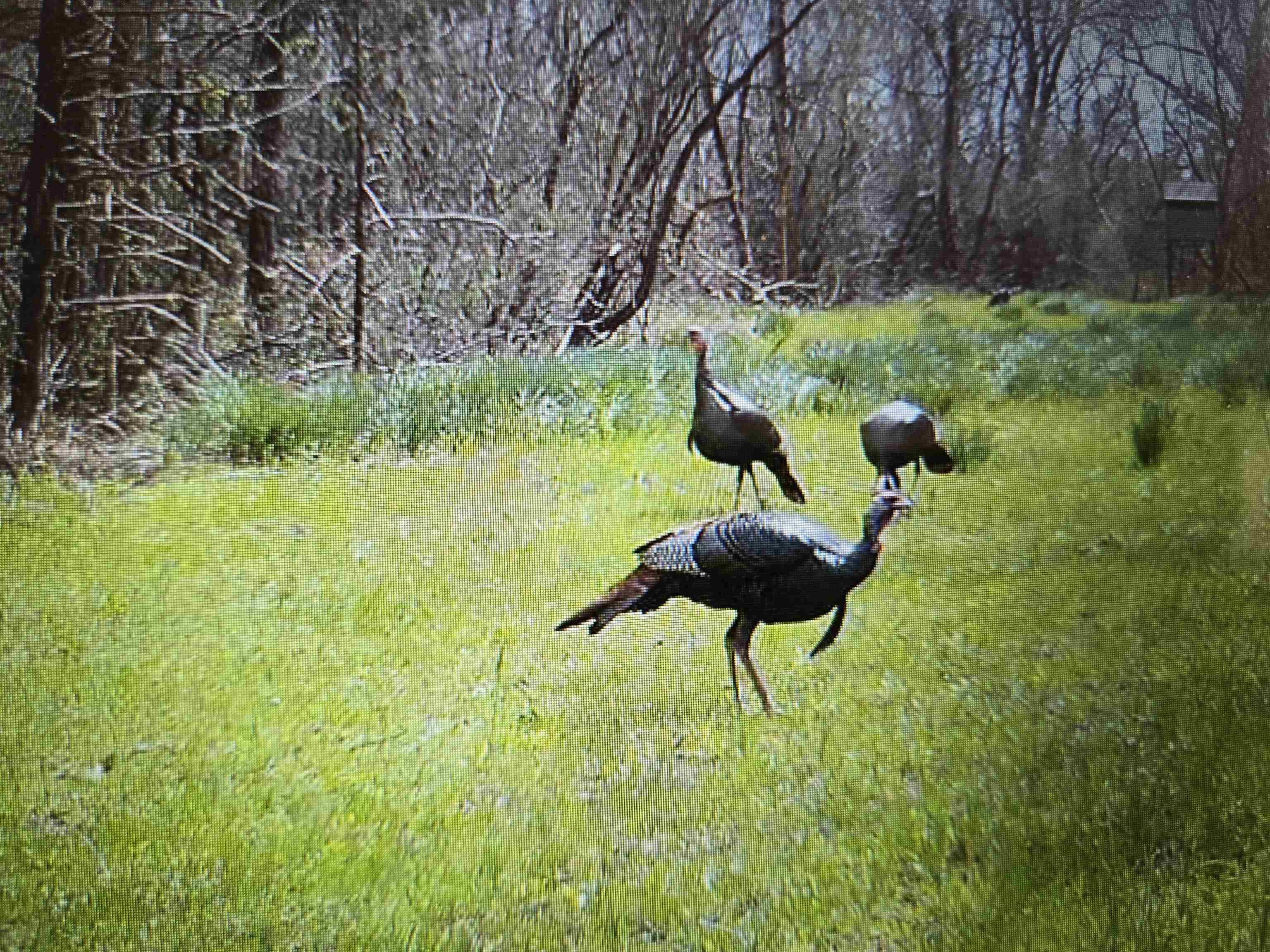 0 Dorse Road Moscow, TN 38057 - Photo 11 of 39 Exterior view