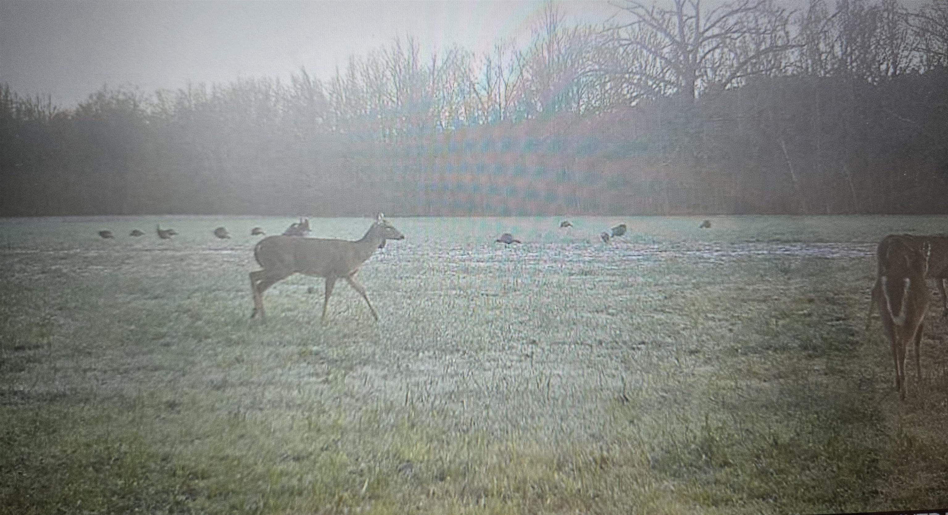 0 Dorse Road Moscow, TN 38057 - Photo 12 of 39 Water view