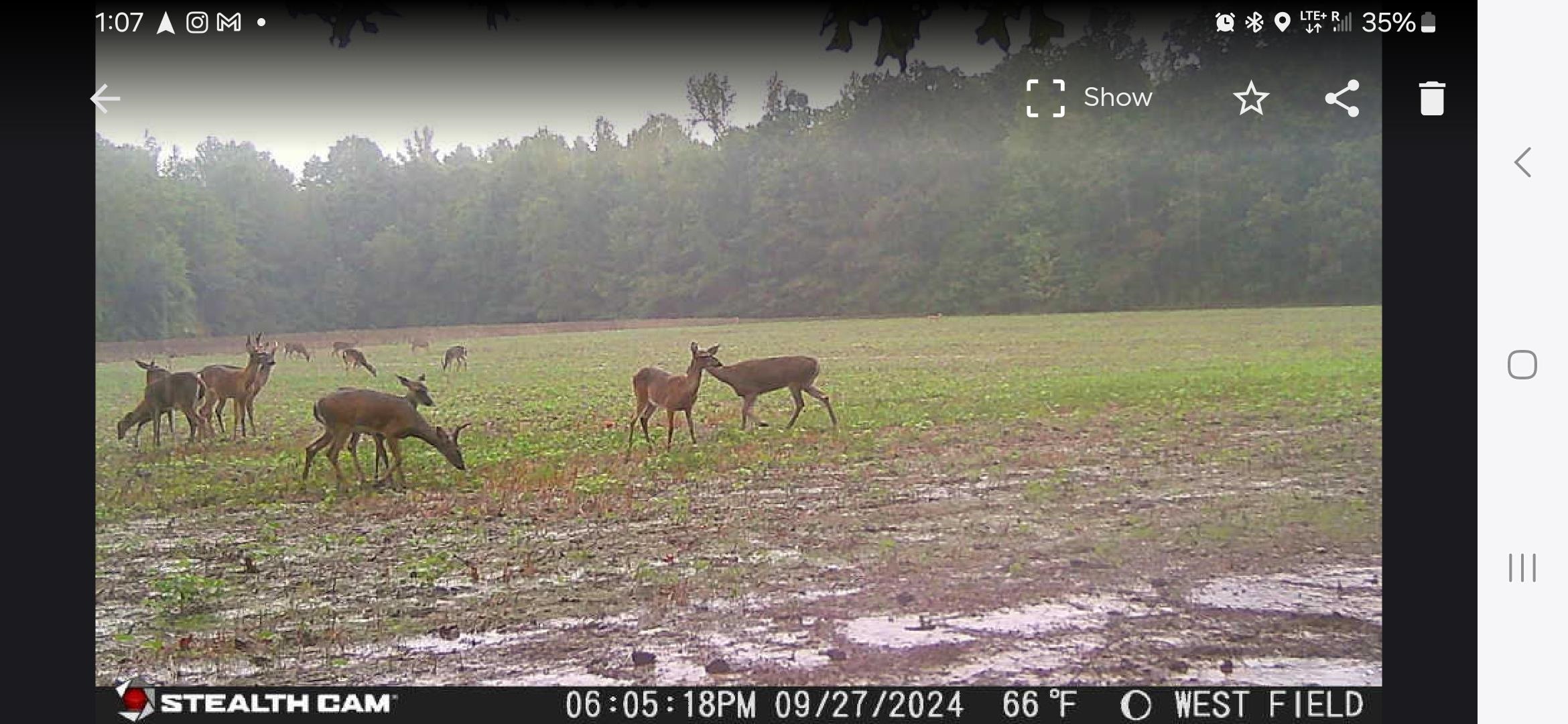 0 Dorse Road Moscow, TN 38057 - Photo 13 of 39 Exterior view