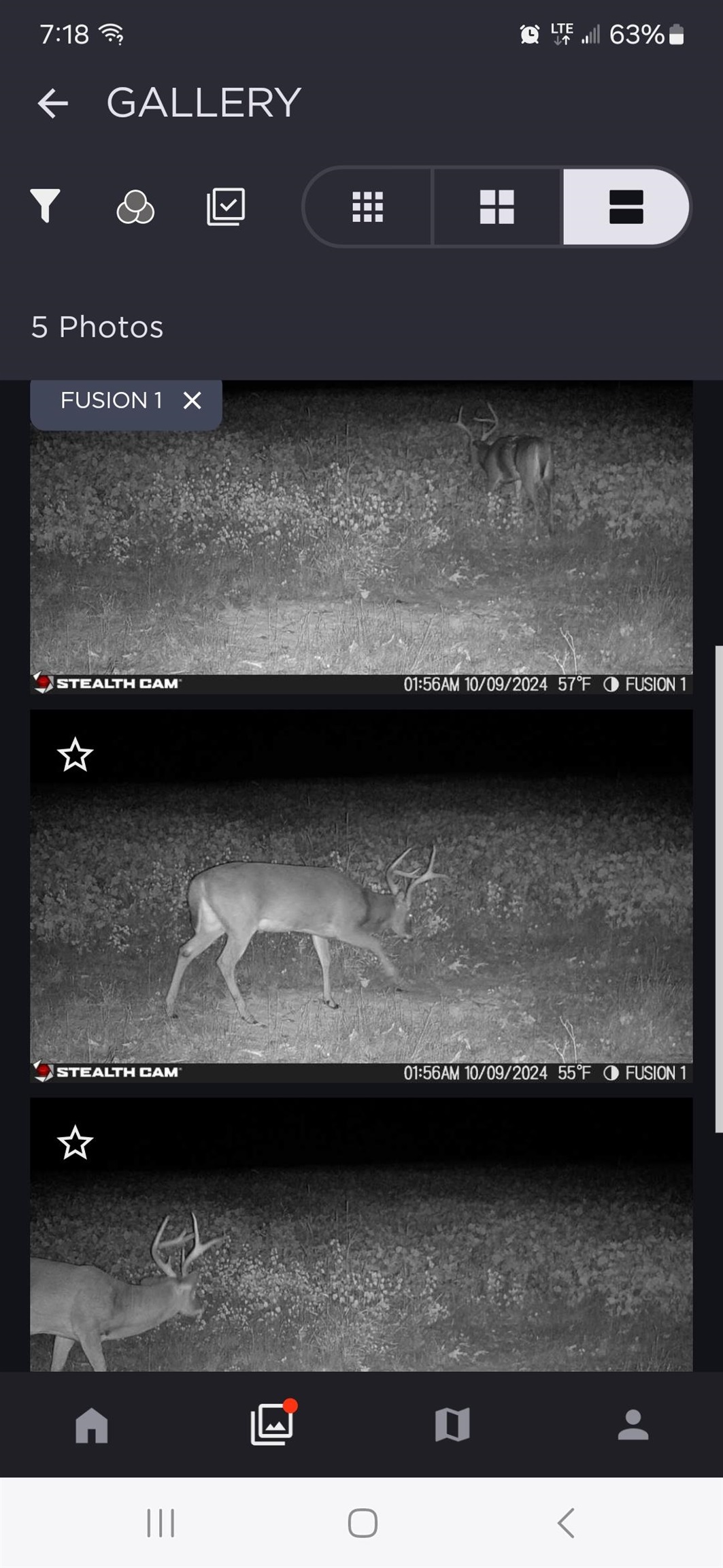 0 Dorse Road Moscow, TN 38057 - Photo 14 of 39 Detailed view