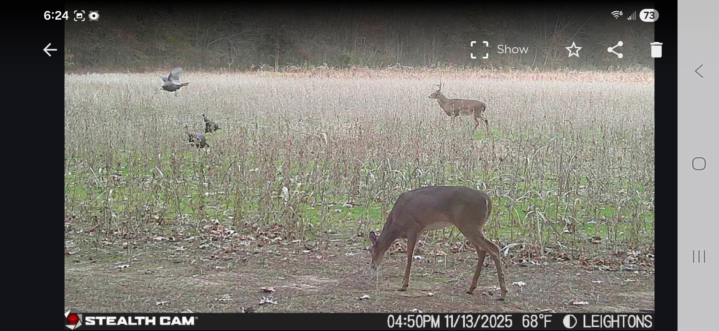 0 Dorse Road Moscow, TN 38057 - Photo 15 of 39 Exterior view