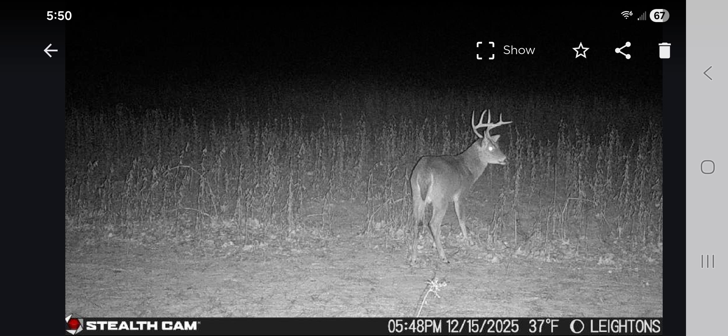 0 Dorse Road Moscow, TN 38057 - Photo 16 of 39 Exterior view