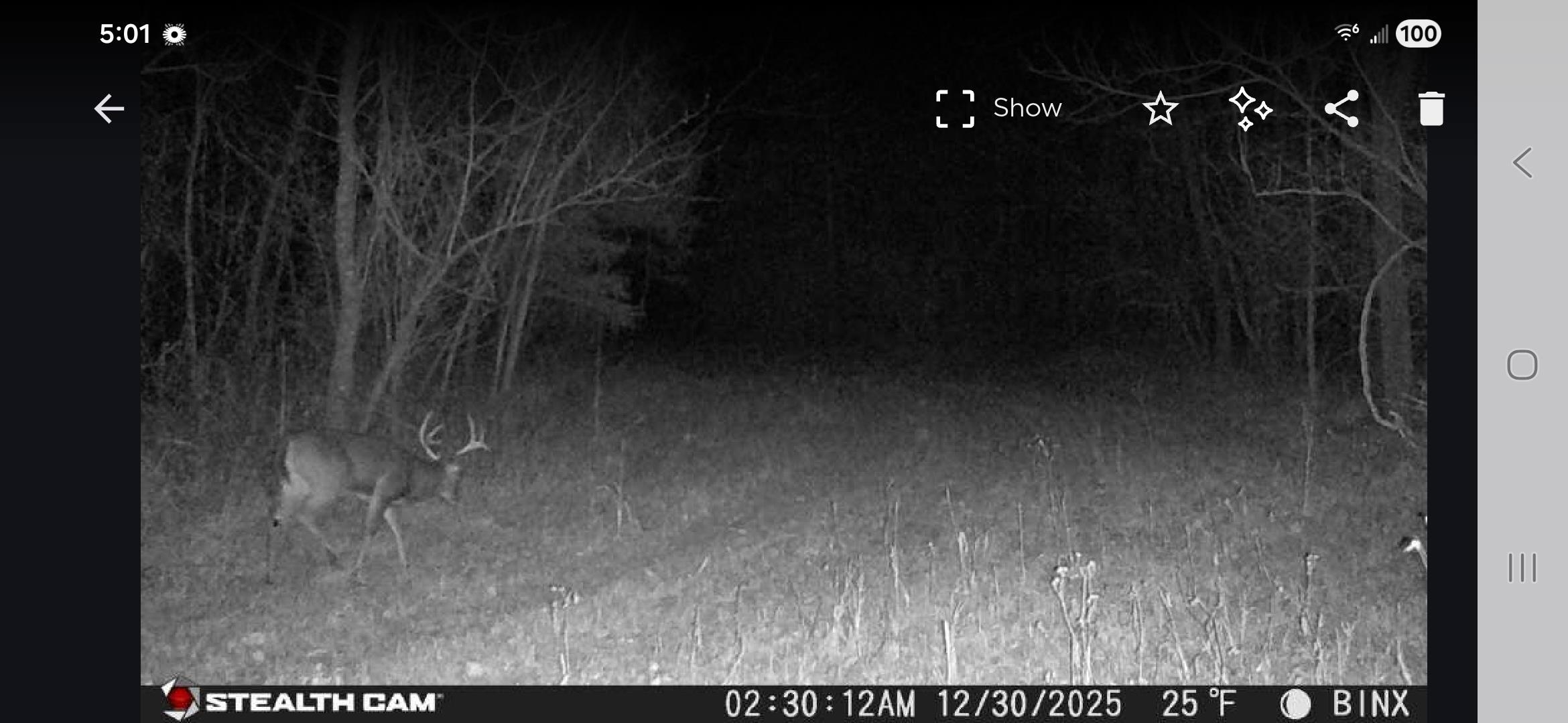 0 Dorse Road Moscow, TN 38057 - Photo 18 of 39 Exterior view