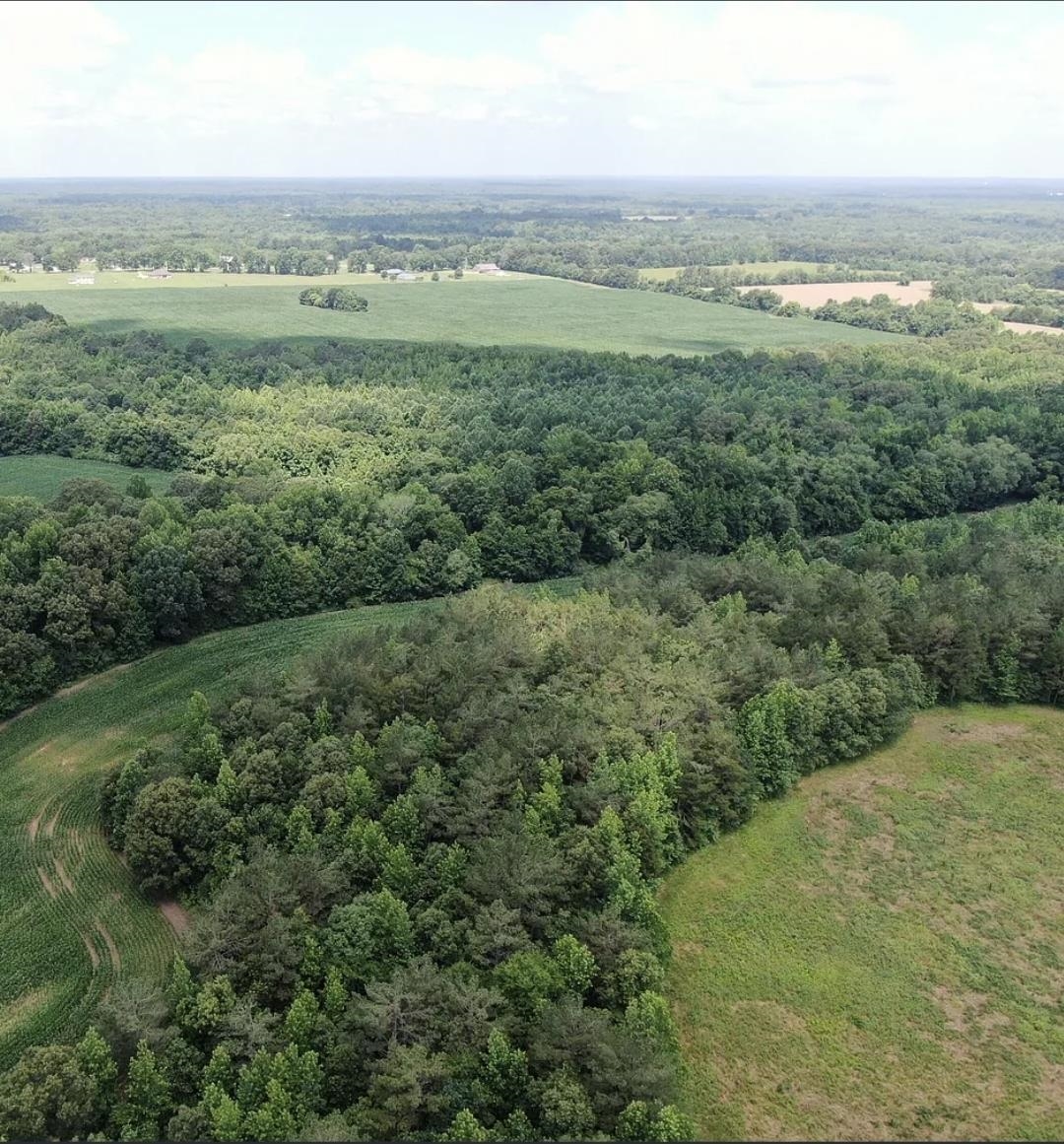 0 Dorse Road Moscow, TN 38057 - Photo 22 of 39 Aerial view of a forest