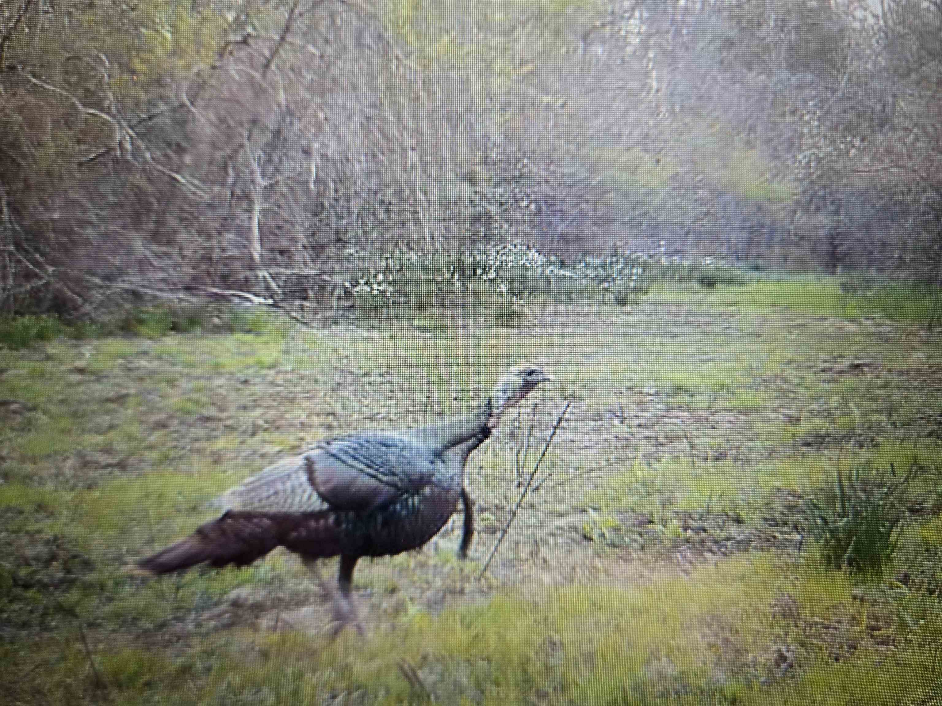 0 Dorse Road Moscow, TN 38057 - Photo 26 of 39 Exterior view