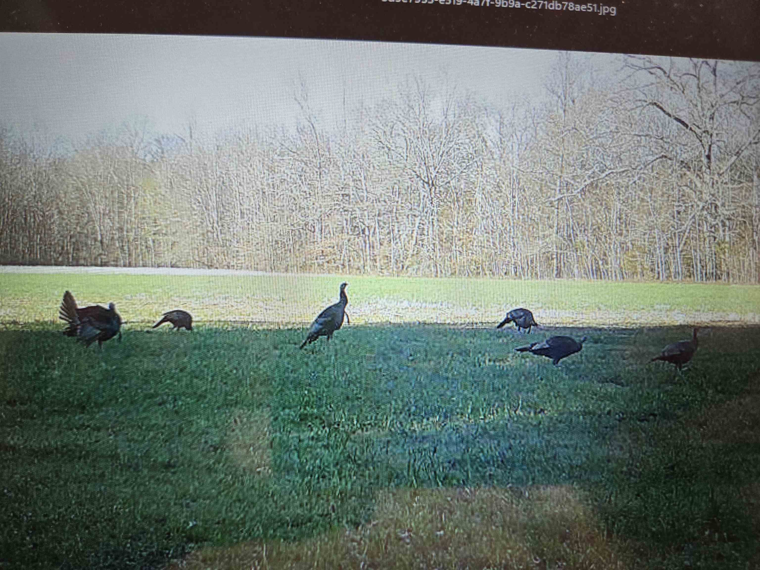 0 Dorse Road Moscow, TN 38057 - Photo 28 of 39 Exterior view