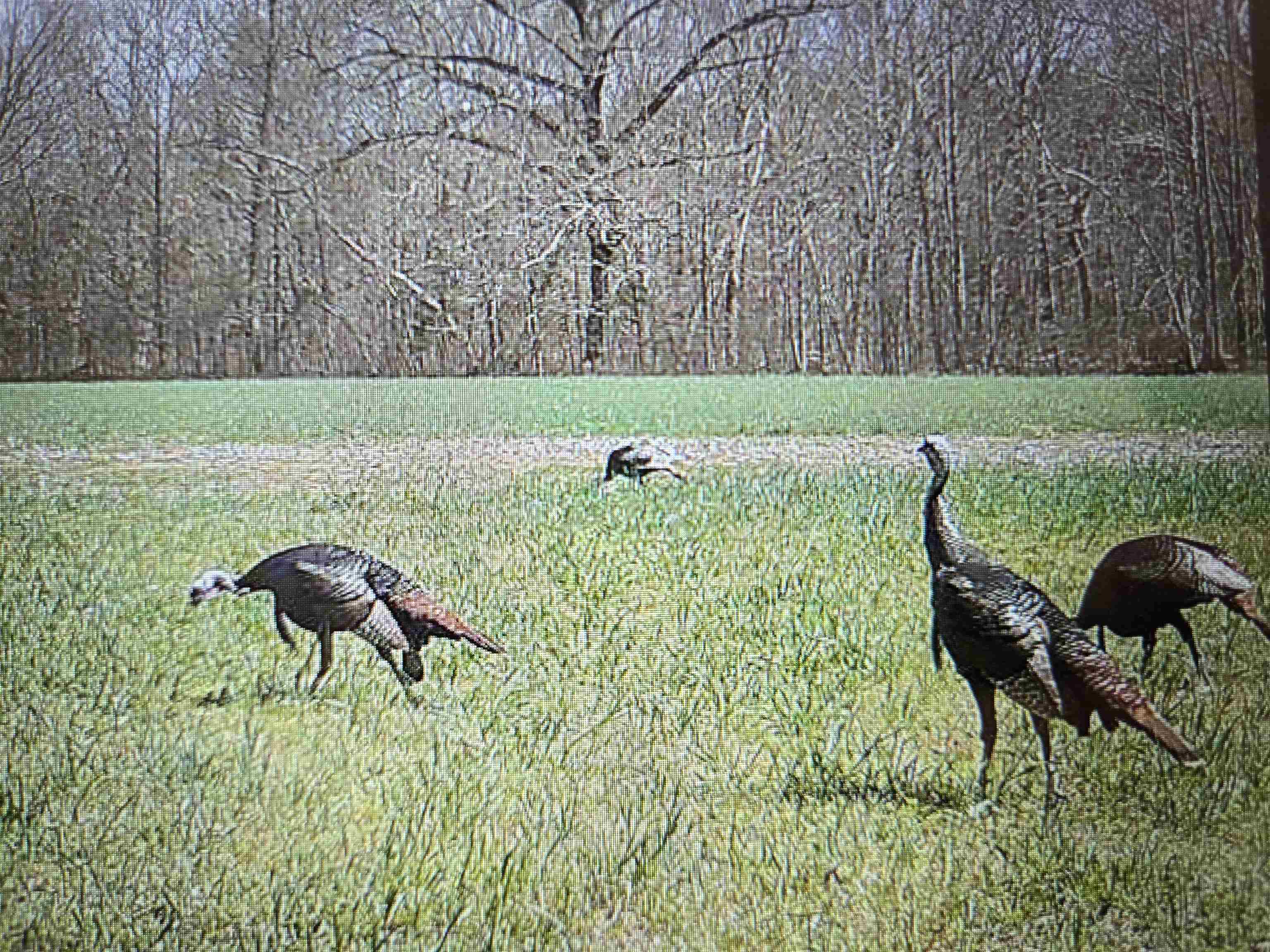 0 Dorse Road Moscow, TN 38057 - Photo 29 of 39 Exterior view