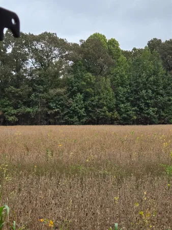 $349,900 | 0 Dorse Road, Moscow, TN 38057