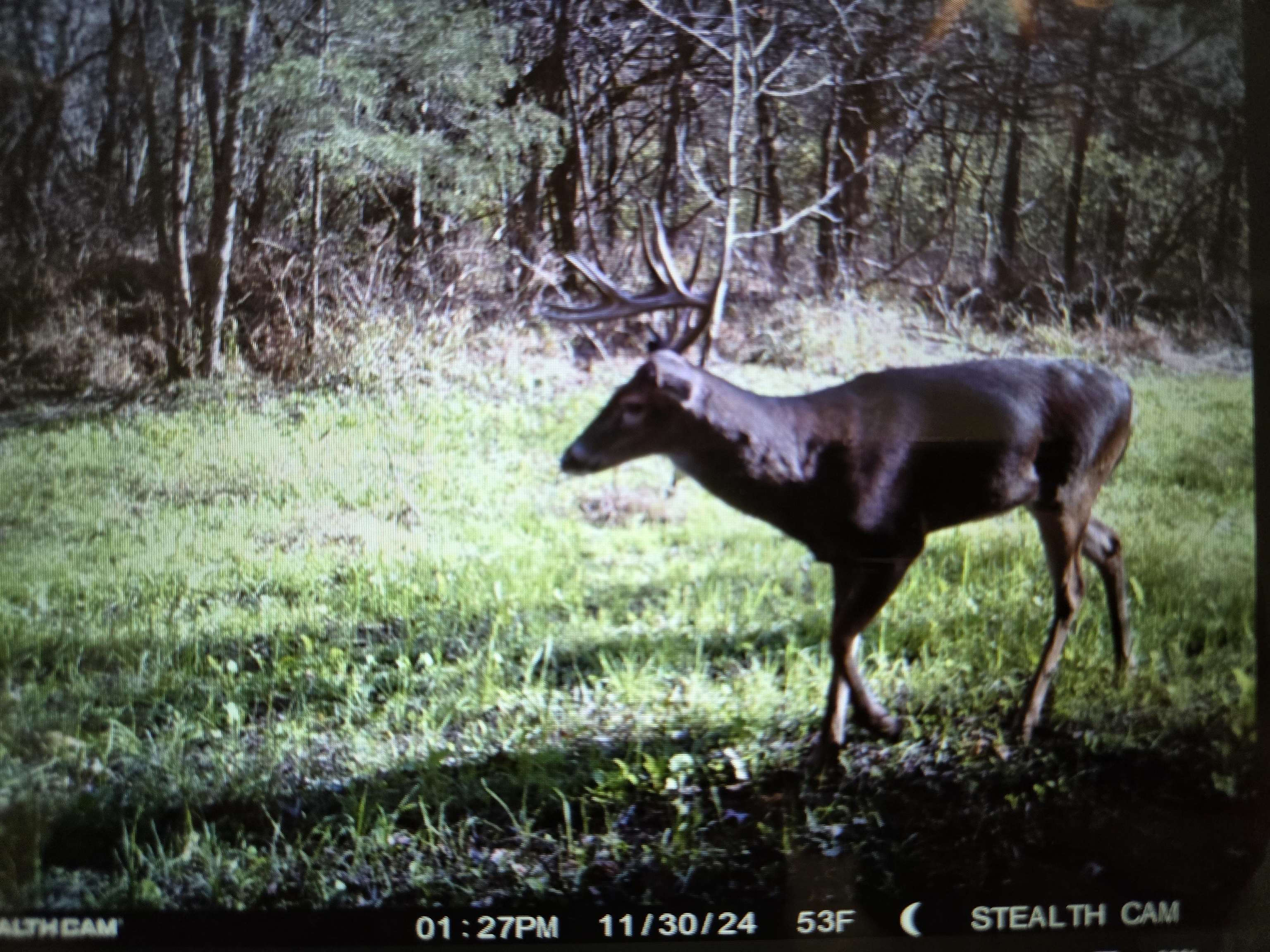 0 Dorse Road Moscow, TN 38057 - Photo 36 of 39 Exterior view
