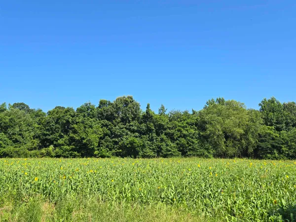 $349,900 | 0 Dorse Road, Moscow, TN 38057