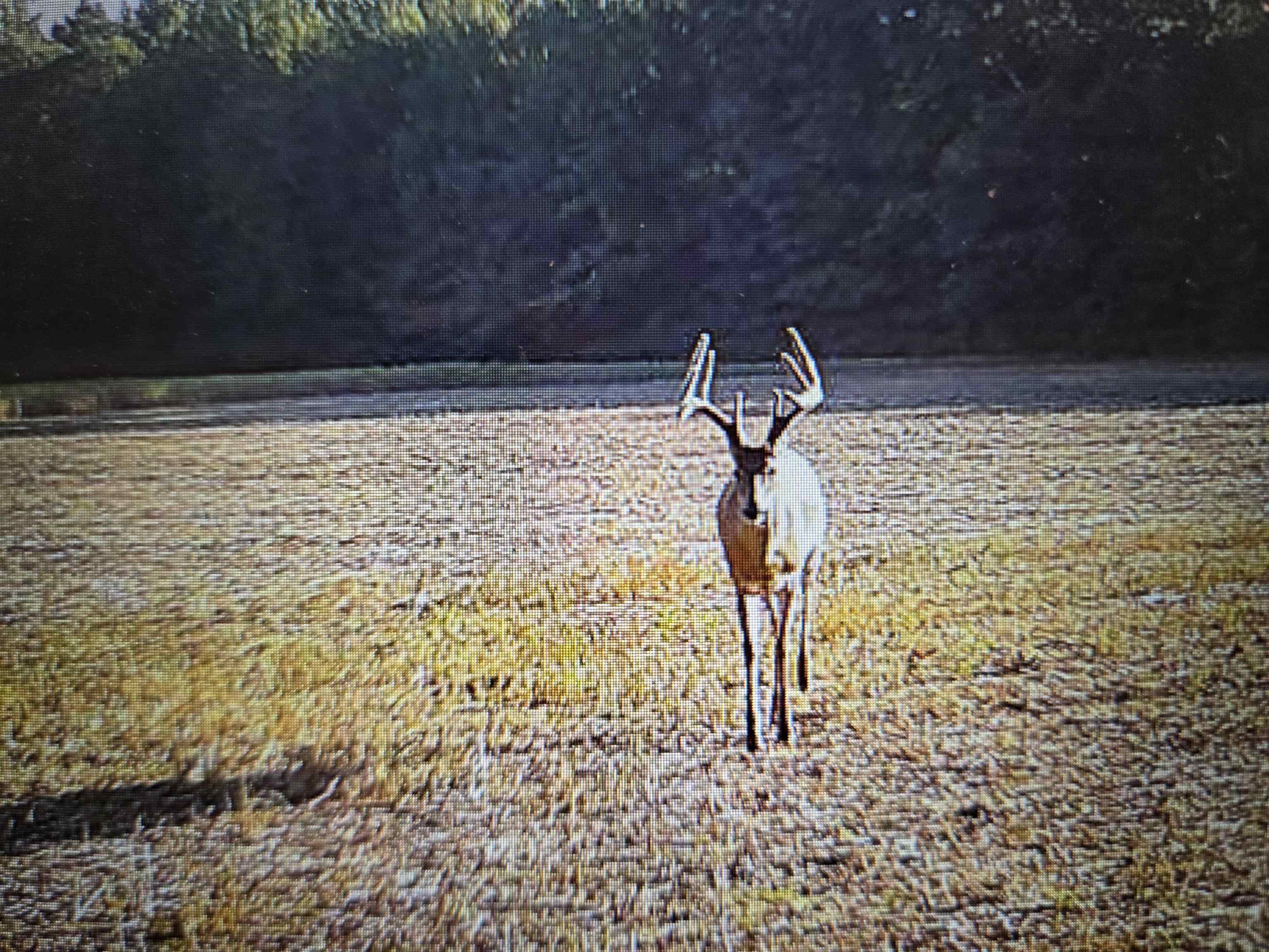 0 Dorse Road Moscow, TN 38057 - Photo 10 of 39 Water view