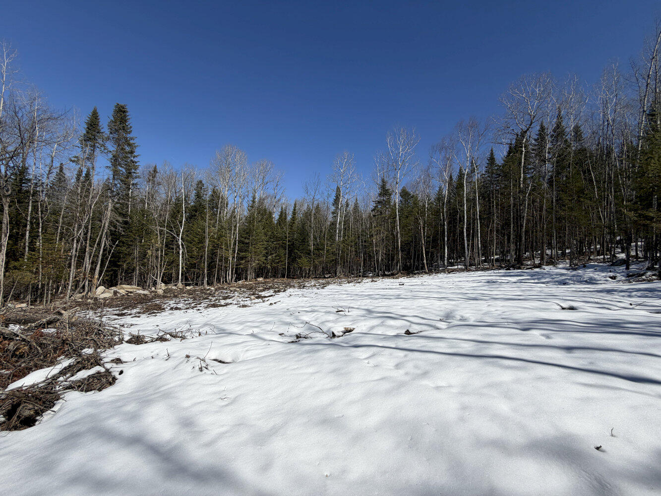 259 Page Hill Road Ripley, ME 04930 - Photo 2 of 14 2 Clearing 3_result