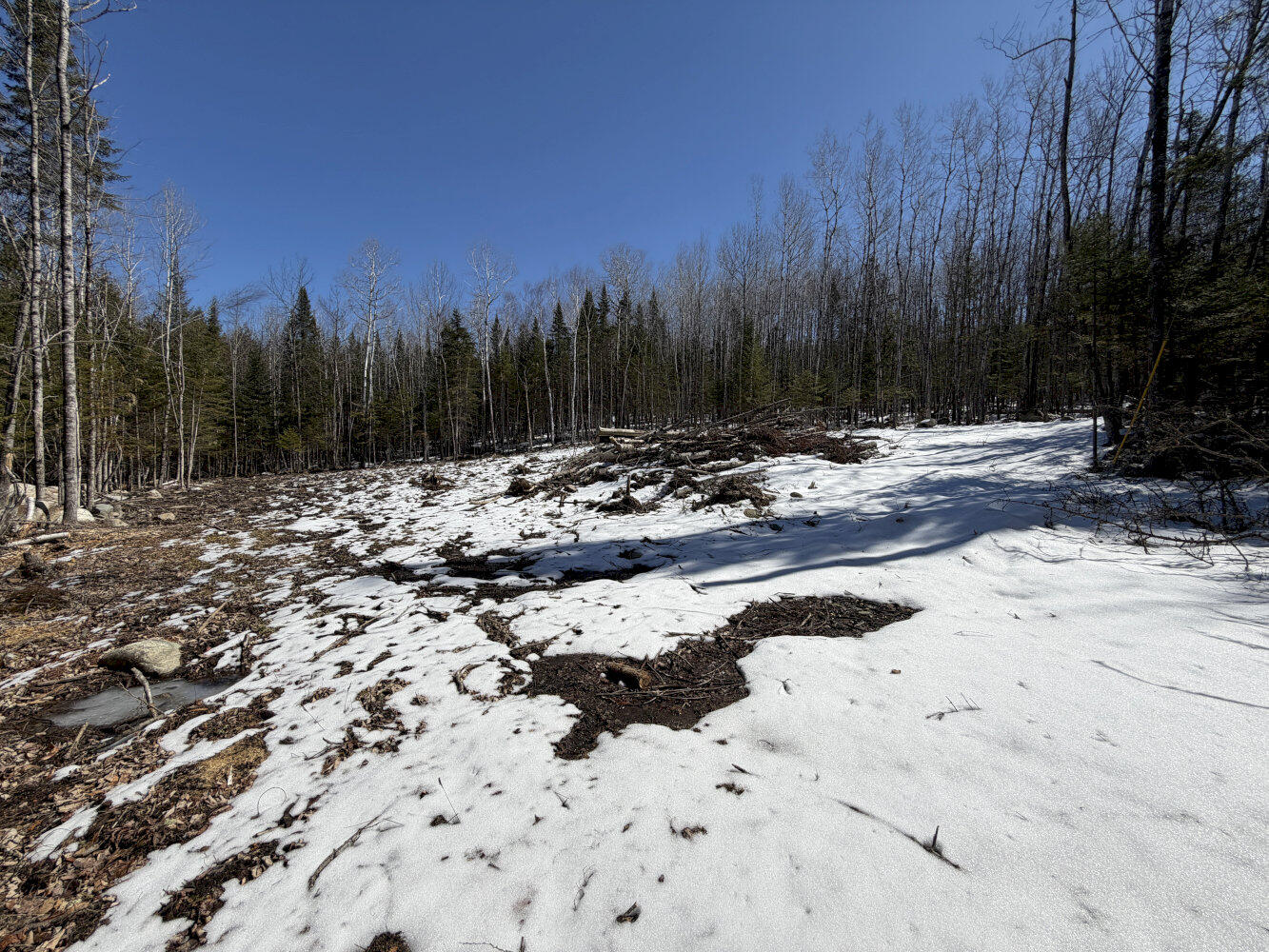 259 Page Hill Road Ripley, ME 04930 - Photo 3 of 14 3 Clearing_result