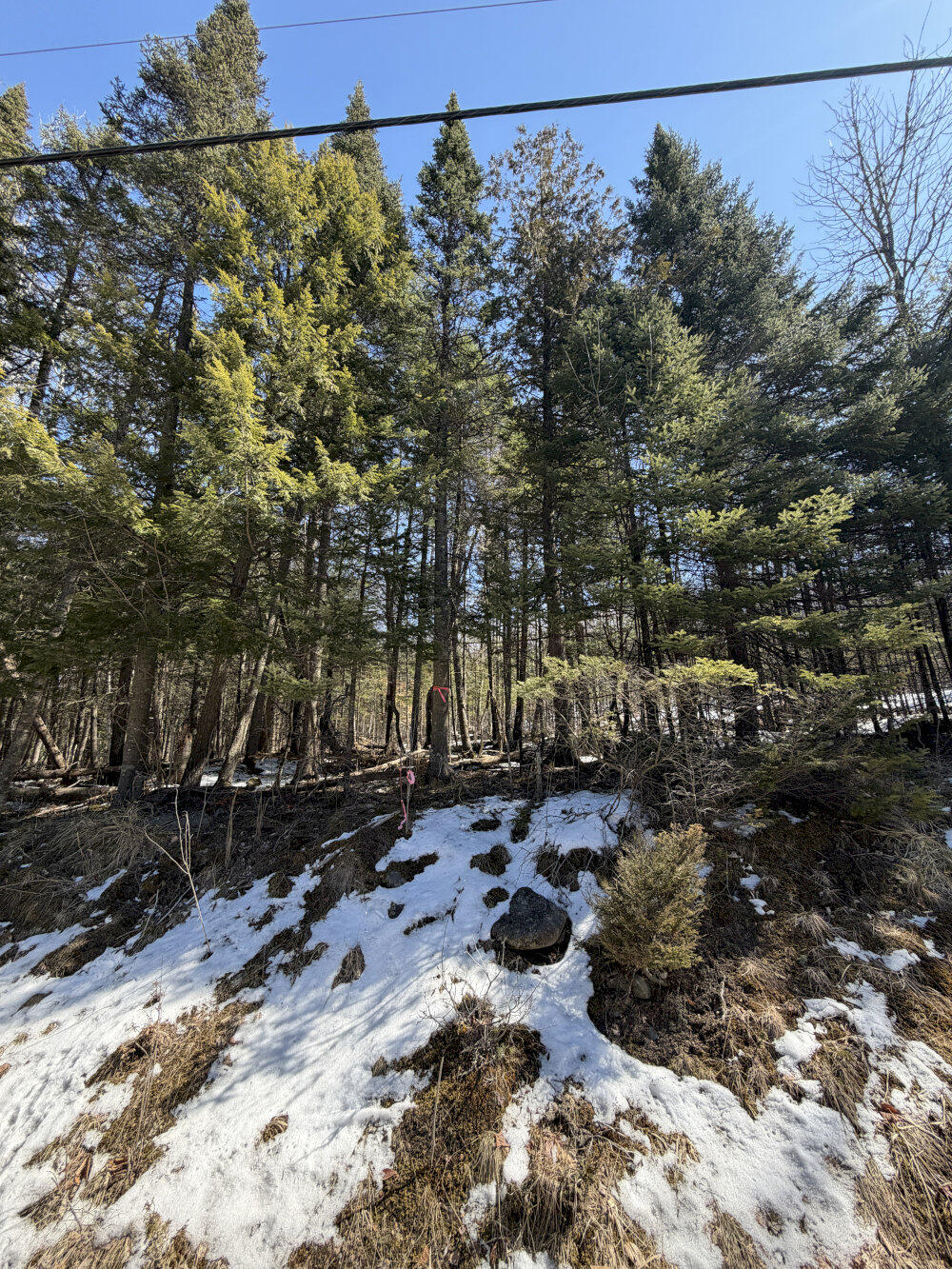 259 Page Hill Road Ripley, ME 04930 - Photo 4 of 14 4 Boundry Pin_result