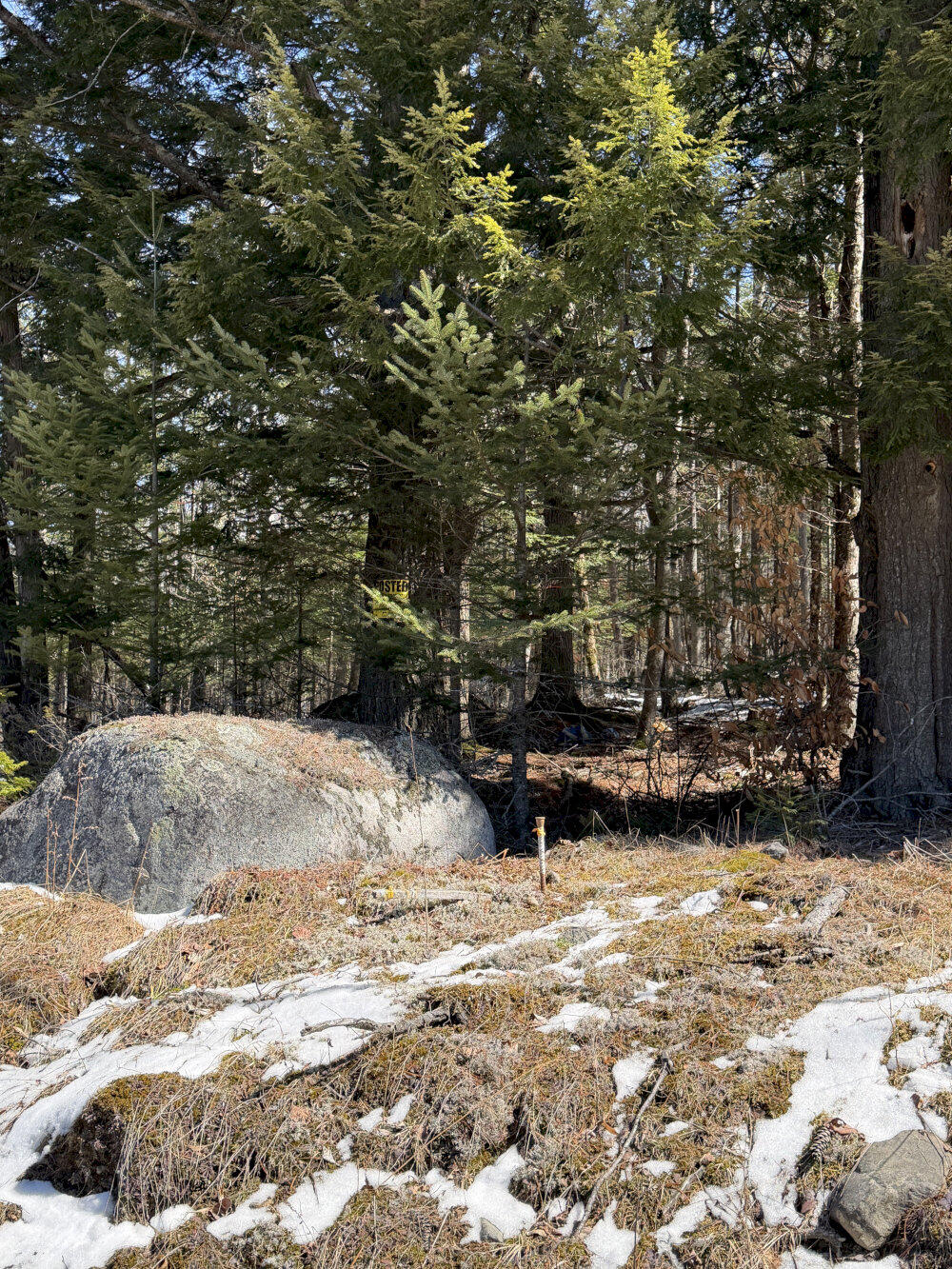 259 Page Hill Road Ripley, ME 04930 - Photo 5 of 14 5 Boundry Pin 2_result