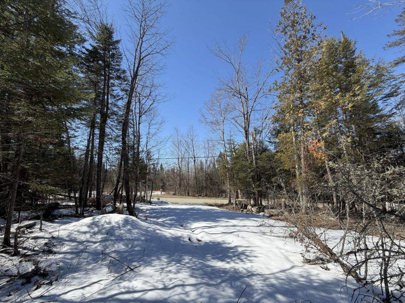 259 Page Hill Road Ripley, ME 04930 - Photo 6 of 14 6 Looking back from clearing to road_res