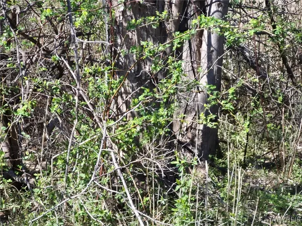 $7,600 | Peach Street, Evans, NY 14006