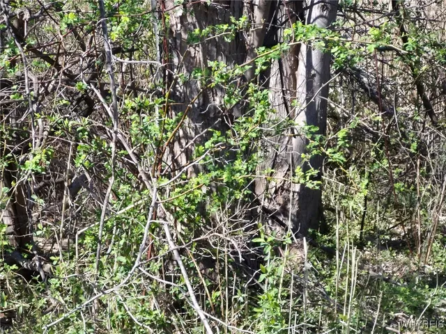 $8,800 | Peach Street, Evans, NY 14006