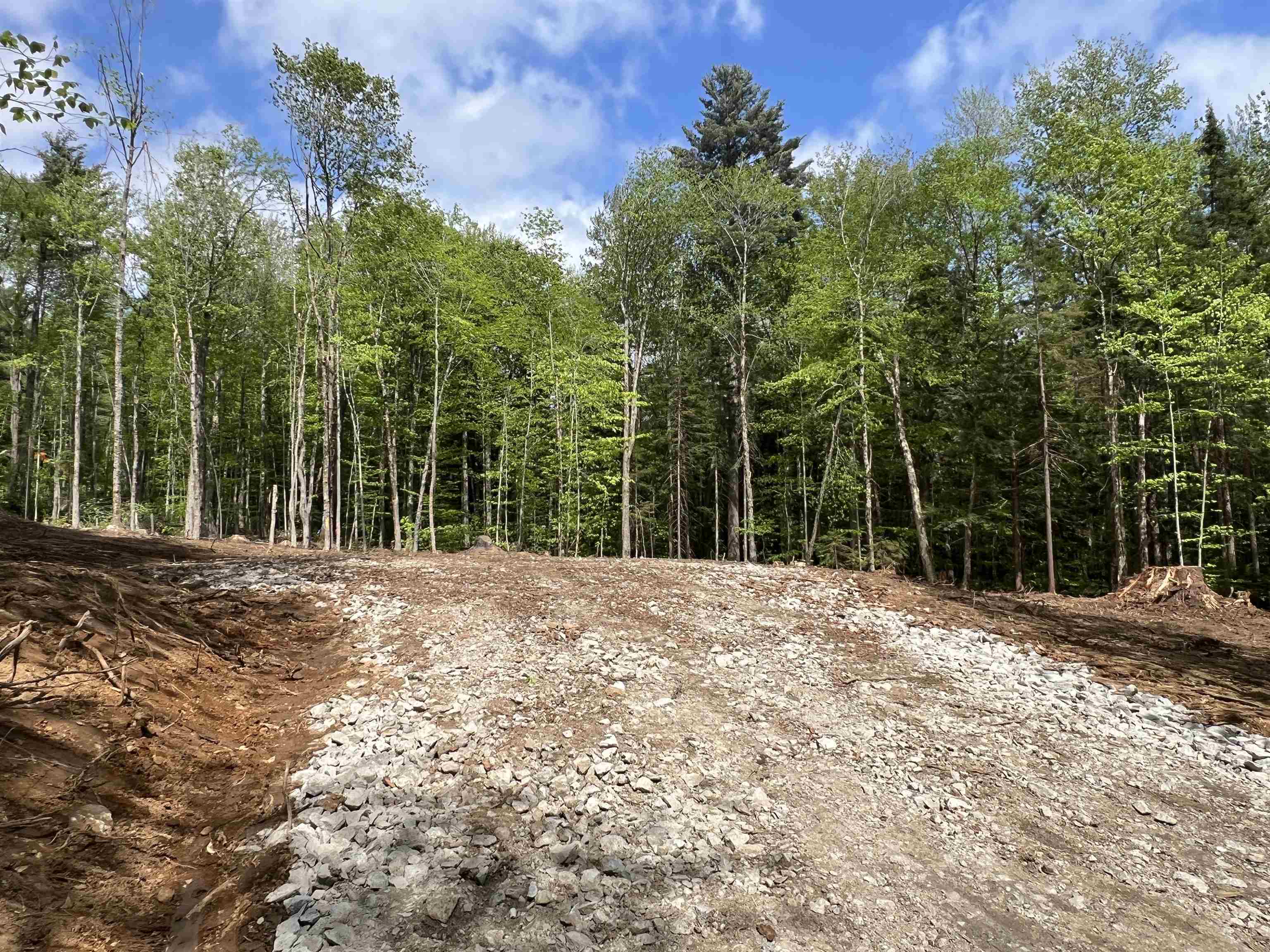 170 Maple Drive Wardsboro, VT 05360 - Photo 7 of 26