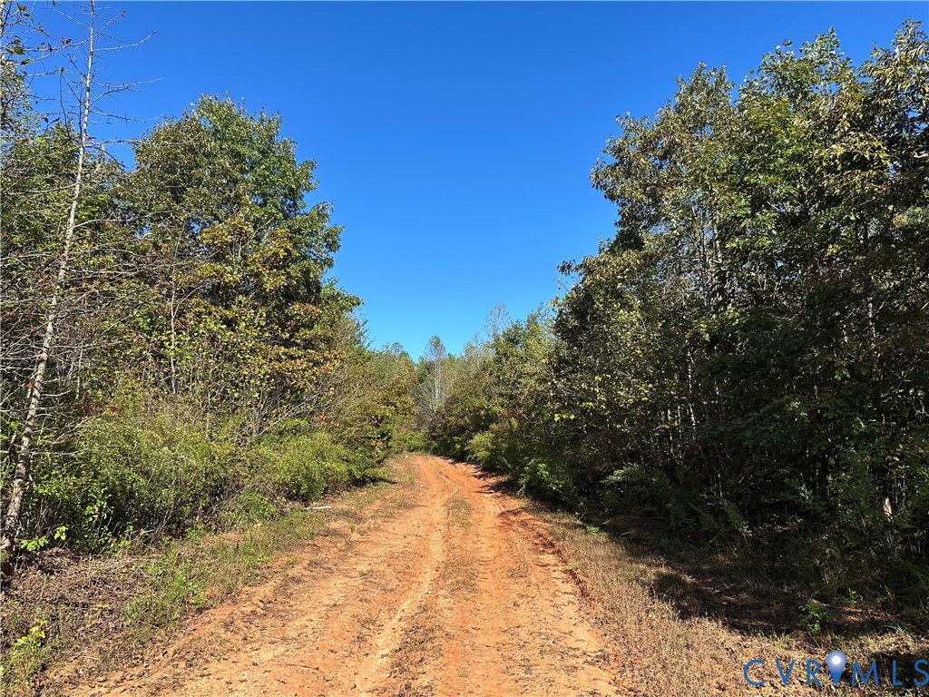a view of a yard with a tree