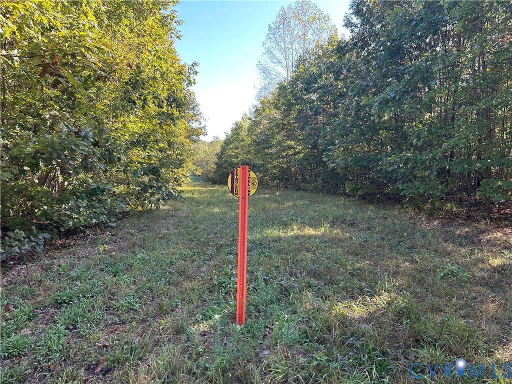 438 Mountain Top Road New Canton, VA 23123 - Photo 12 of 21 a flag is sitting in the middle of a forest