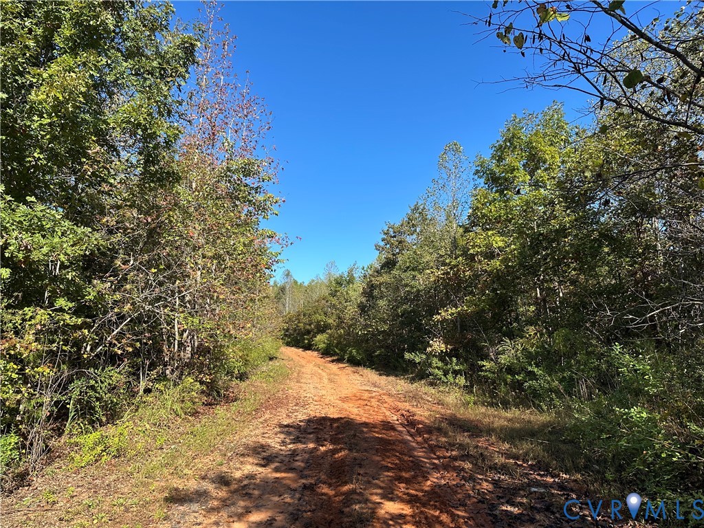 438 Mountain Top Road New Canton, VA 23123 - Photo 2 of 21 a view of a yard with a tree
