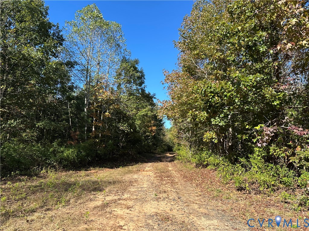 438 Mountain Top Road New Canton, VA 23123 - Photo 3 of 21 a view of outdoor space and yard