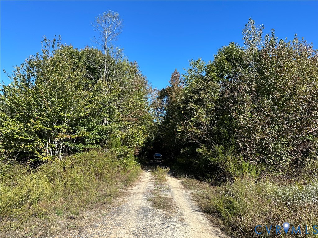 438 Mountain Top Road New Canton, VA 23123 - Photo 6 of 21