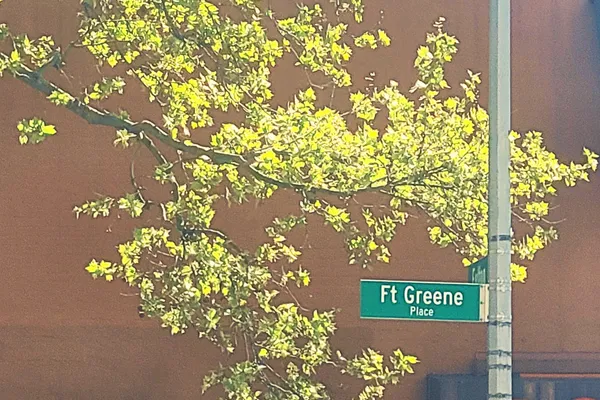 $4,600,000 | 62 Fort Greene Place | Fort Greene