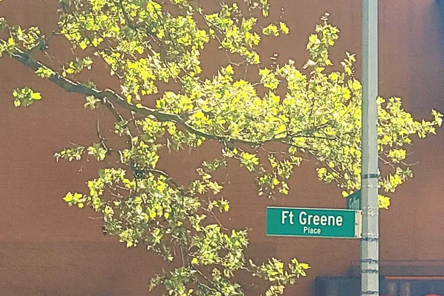 $4,600,000 | 62 Fort Greene Place | Fort Greene