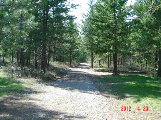 1584 Evans Cutoff Road Evans, WA 99126 - Photo 6 of 9 Gallery Image 6