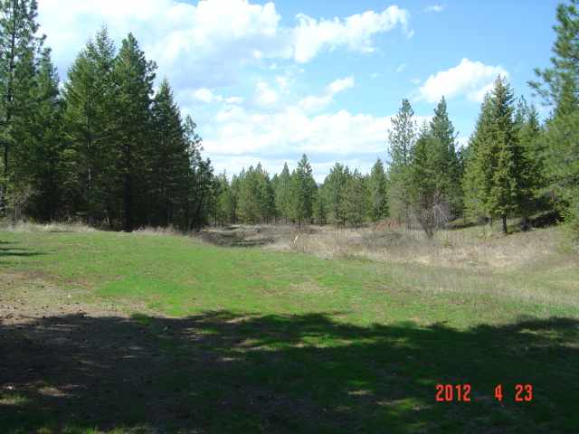 1584 Evans Cutoff Road Evans, WA 99126 - Photo 8 of 9 Gallery Image 8