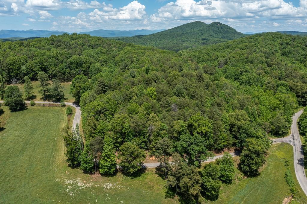 40 Donley Road Murphy, NC 28906 - Photo 14 of 14 Gallery Image 14