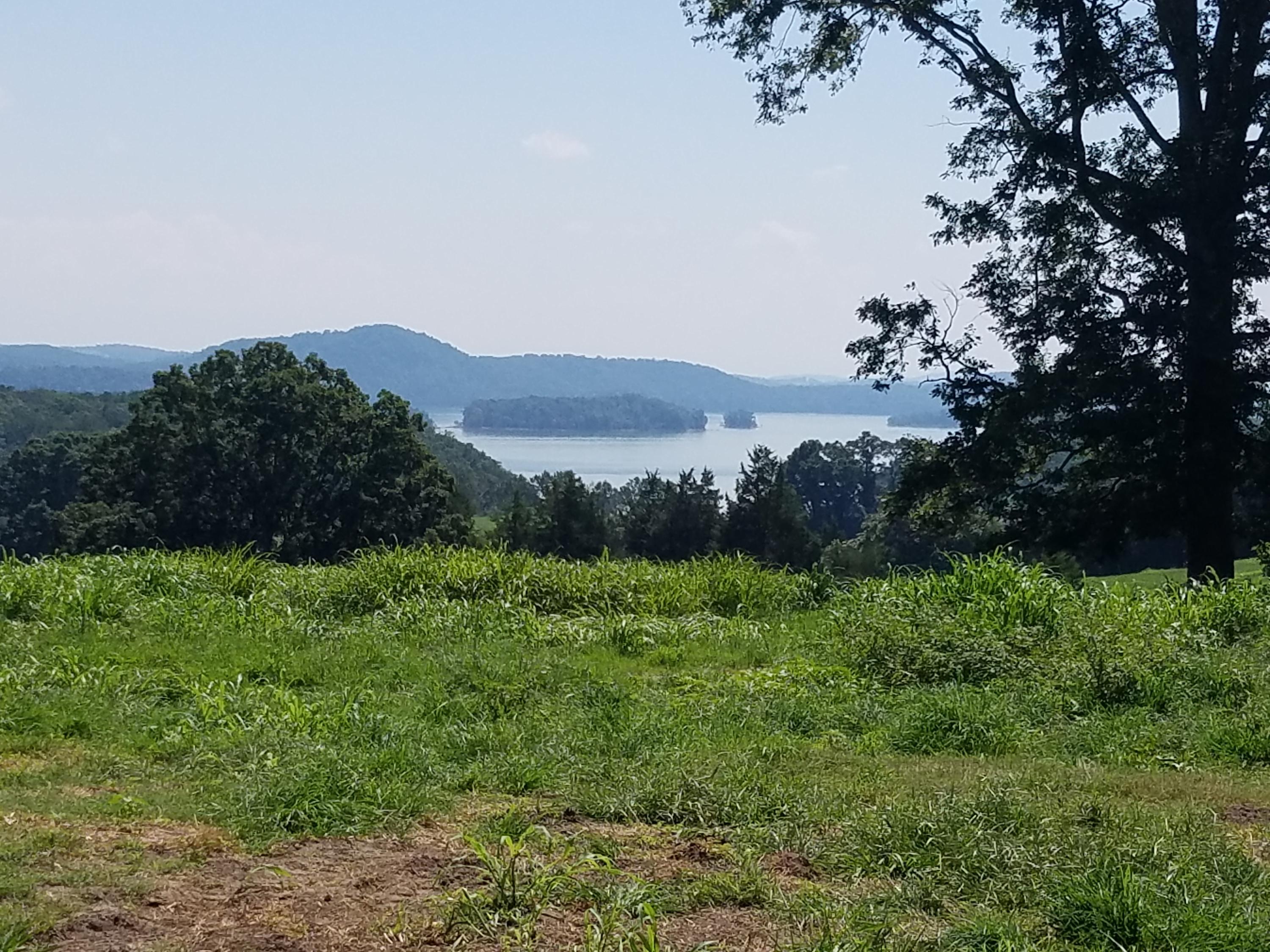 7475 Lakeshore Drive Rutledge, TN 37861 - Photo 5 of 8 View