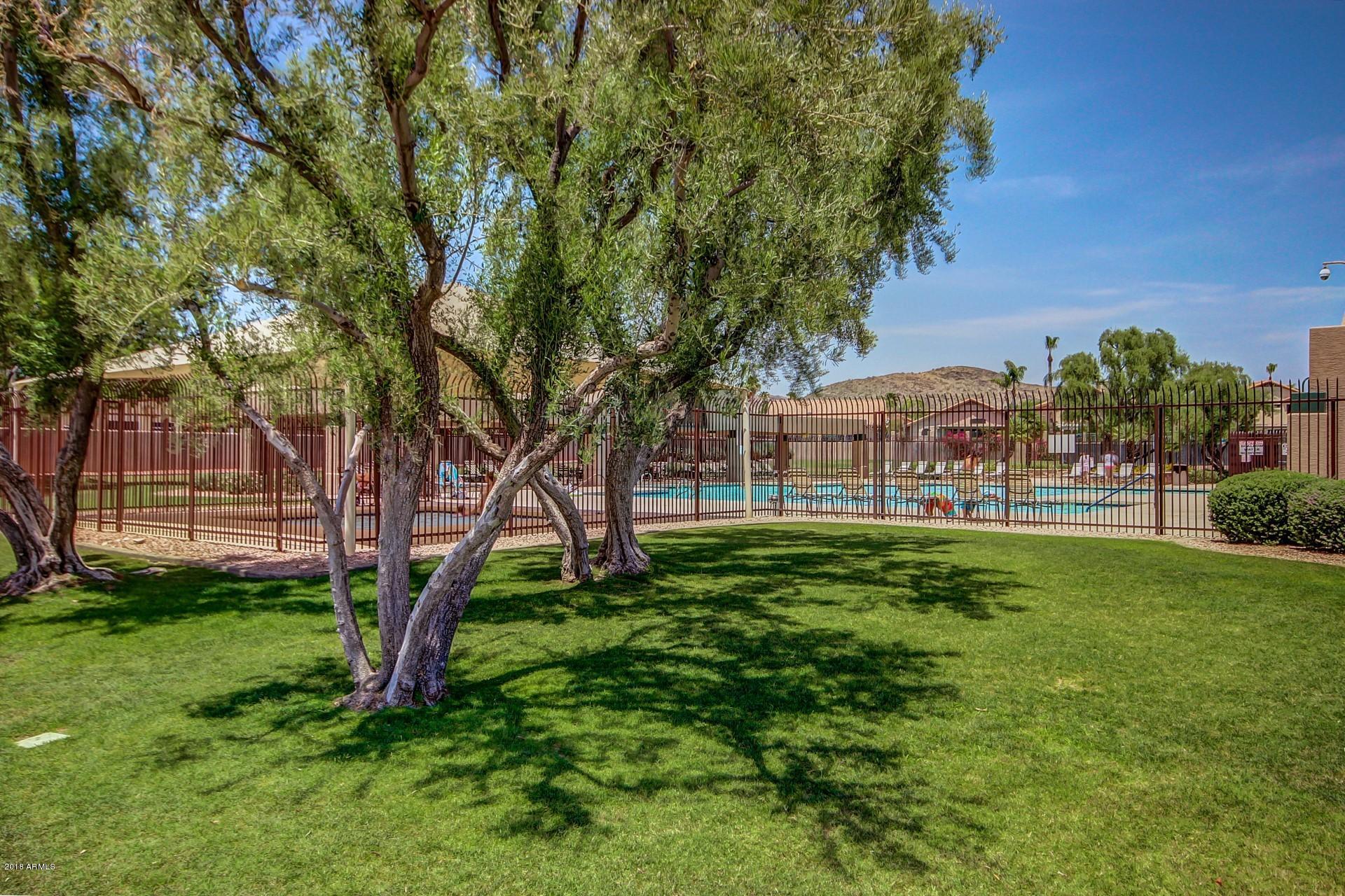 2236 East Desert Trumpet Road Phoenix, AZ 85048 - Photo 32 of 36 Swimming Pool & Green Space