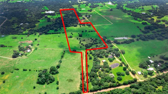 a view of a flower garden