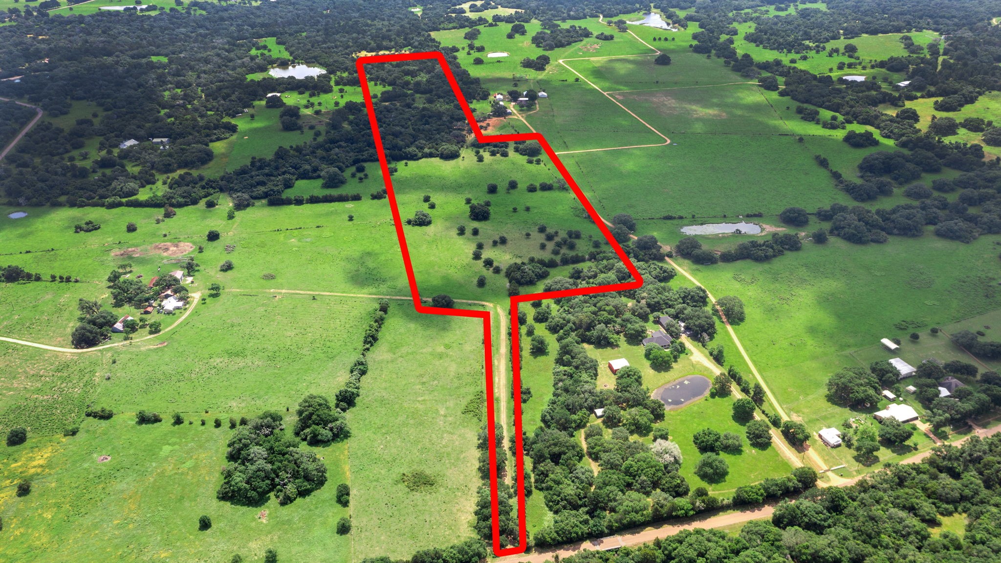 a view of a flower garden