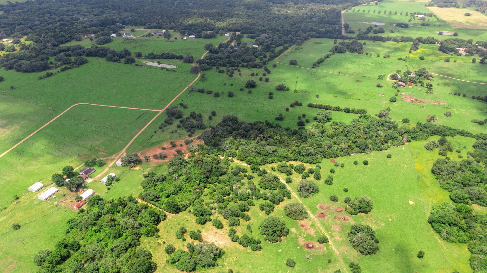 1017 New Ulm Road Cat Spring, TX 78933 - Photo 3 of 8 a backyard of a house with lots of green space