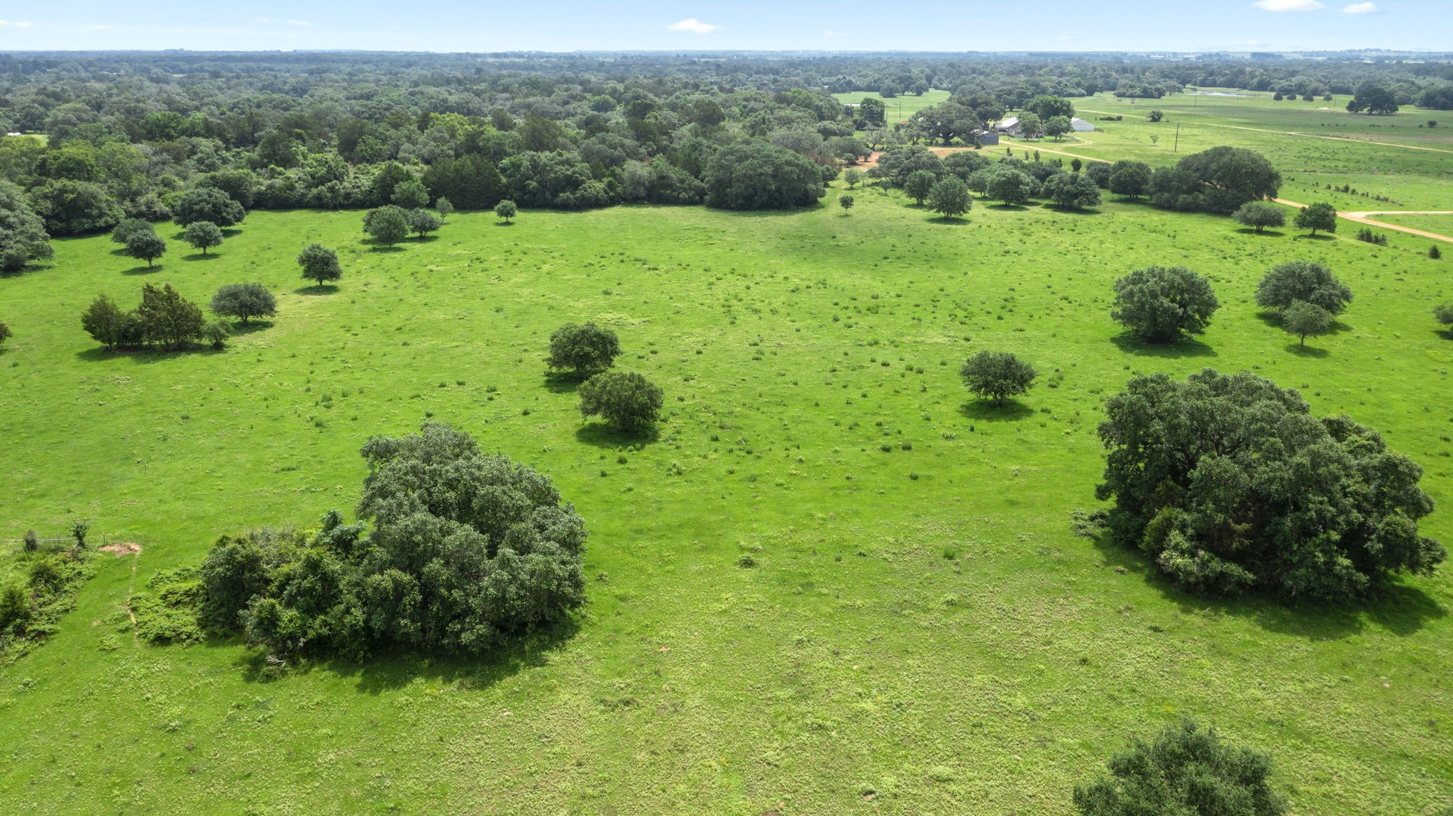 1017 New Ulm Road Cat Spring, TX 78933 - Photo 5 of 8 a view of an green field with lots of green space