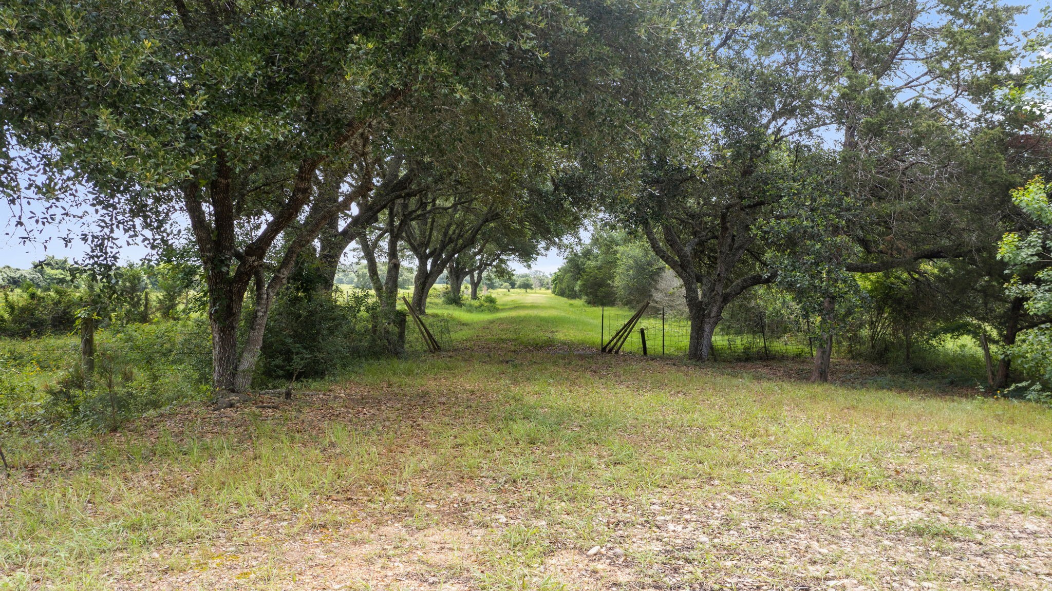 1017 New Ulm Road Cat Spring, TX 78933 - Photo 8 of 8 a view of a field with trees in the background