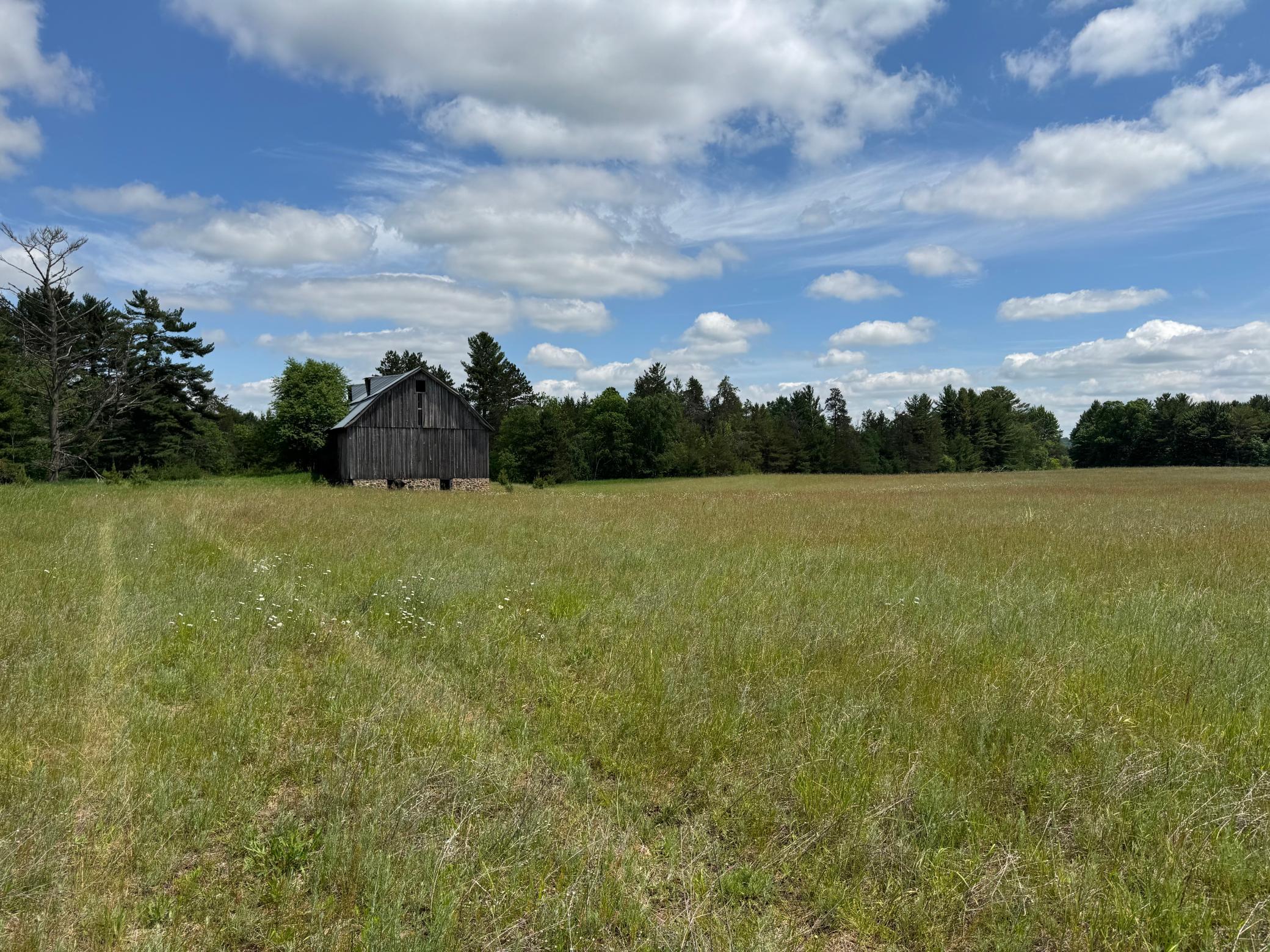 6398 Fred Tripp Road Springbrook, WI 54875 - Photo 6 of 30