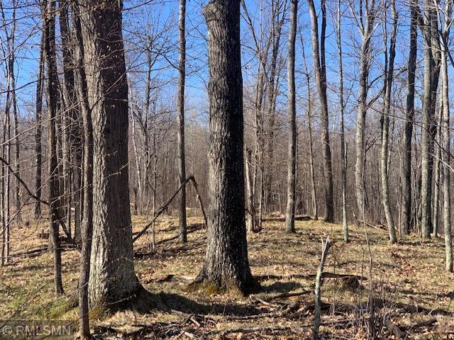 Abc Condor Road Sandstone, MN 55072 - Photo 1 of 1 Gallery Image 1