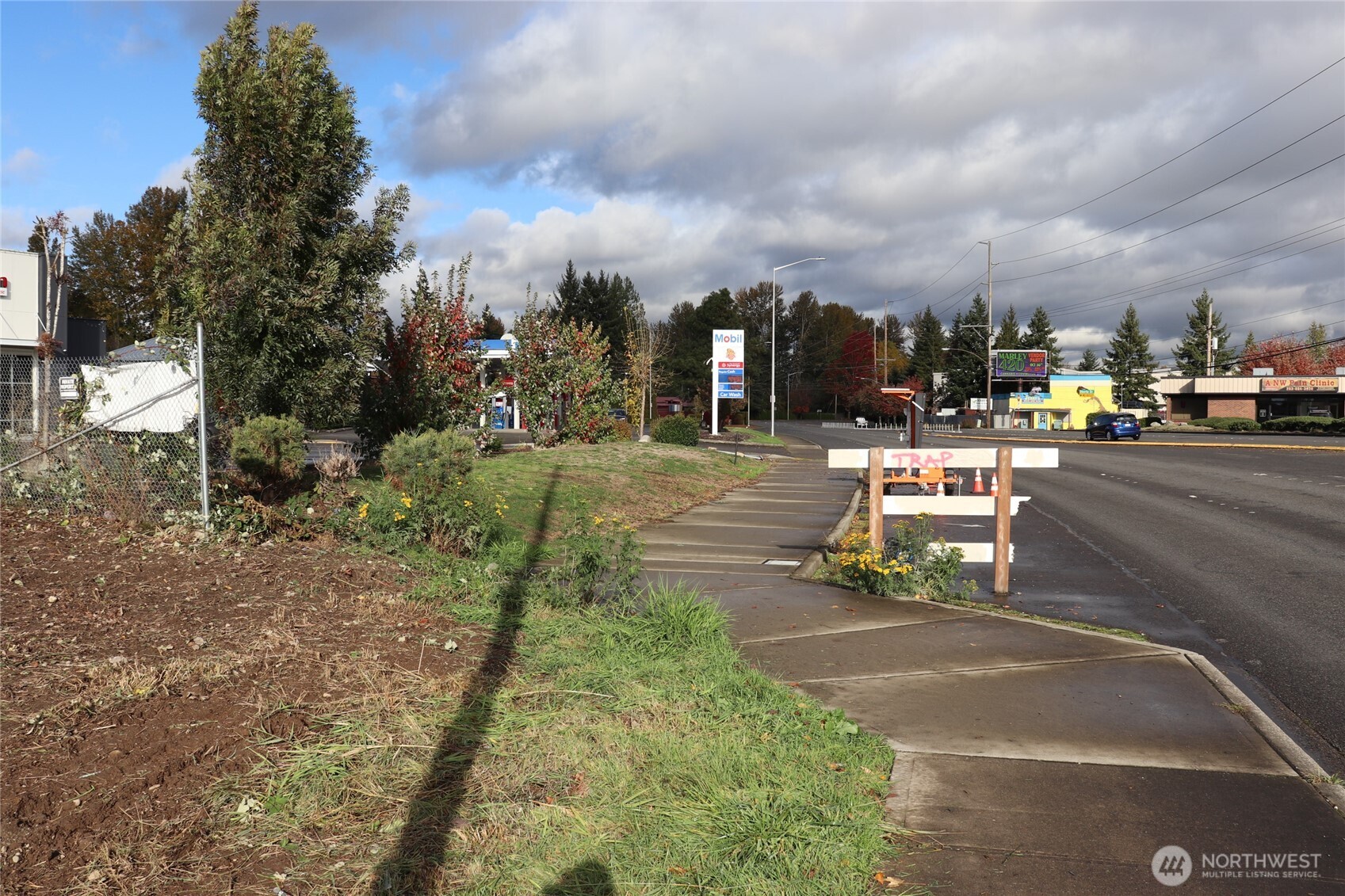 23809 West Valley Highway Kent, WA 98032 - Photo 22 of 23 a bench is sitting in the middle of a yard