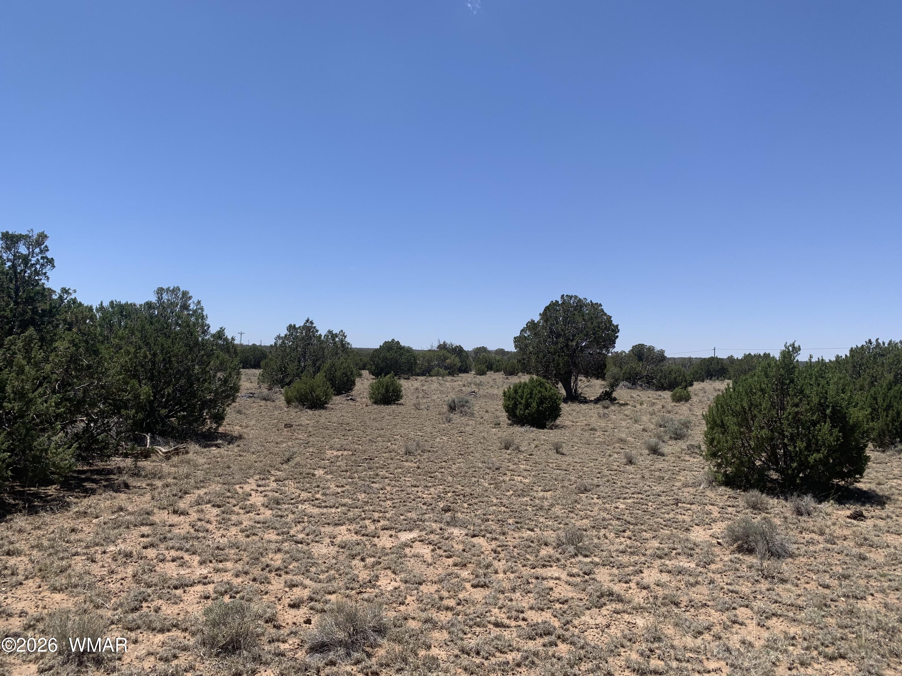 110 Mesa Redondo Ranch Road Concho, AZ 85924 - Photo 4 of 10 a view of a dry yard with trees in the background