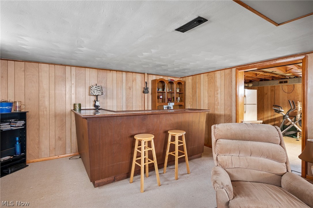 4113 Rabbit Run Drive Brooklyn, OH 44144 - Photo 22 of 28 Basement bar area with carpet