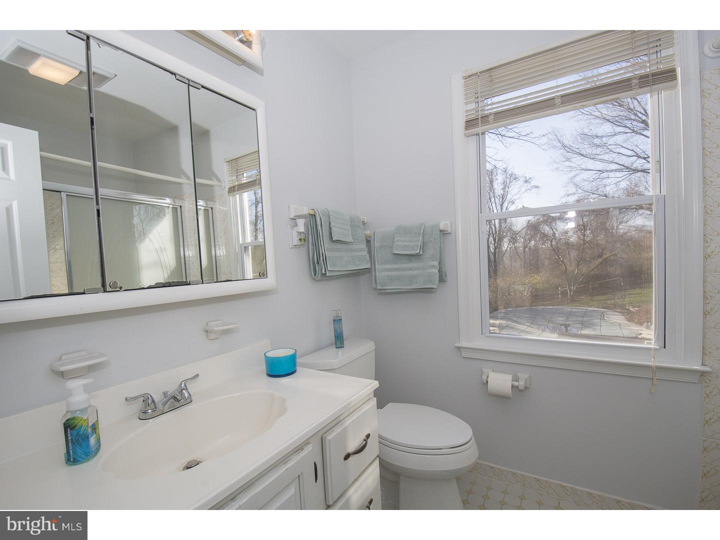 304 Dutton Mill Road West Chester, PA 19380 - Photo 21 of 25 Bathroom