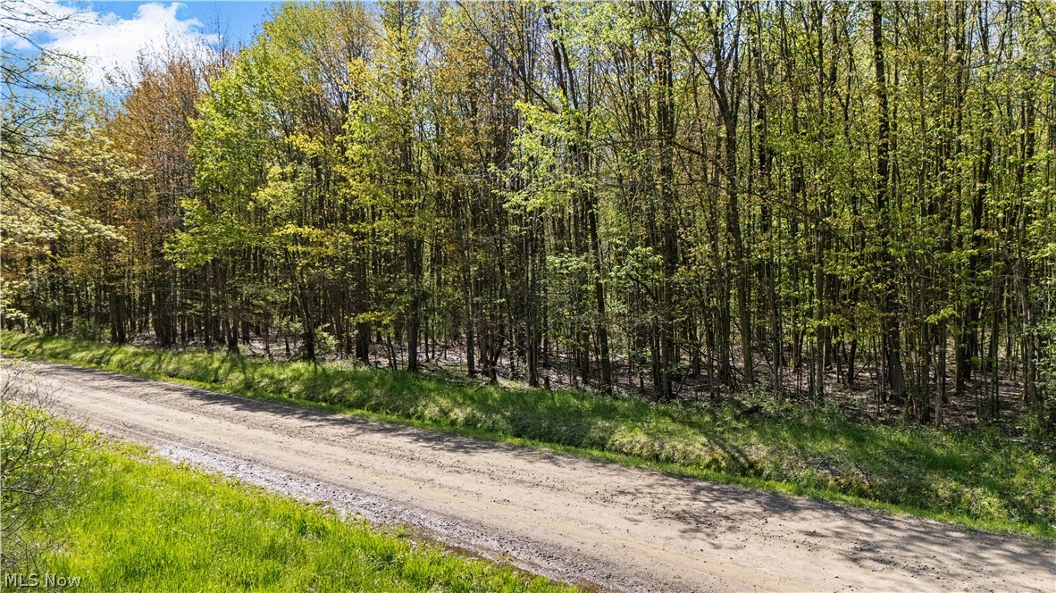 2851 Pine Road Atlantic, PA 16111 - Photo 12 of 18