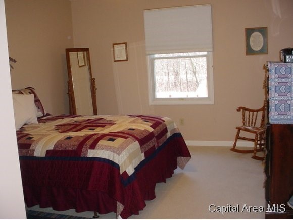 2204 Cormorant Drive Springfield, IL 62711 - Photo 12 of 19 Gallery Image 12