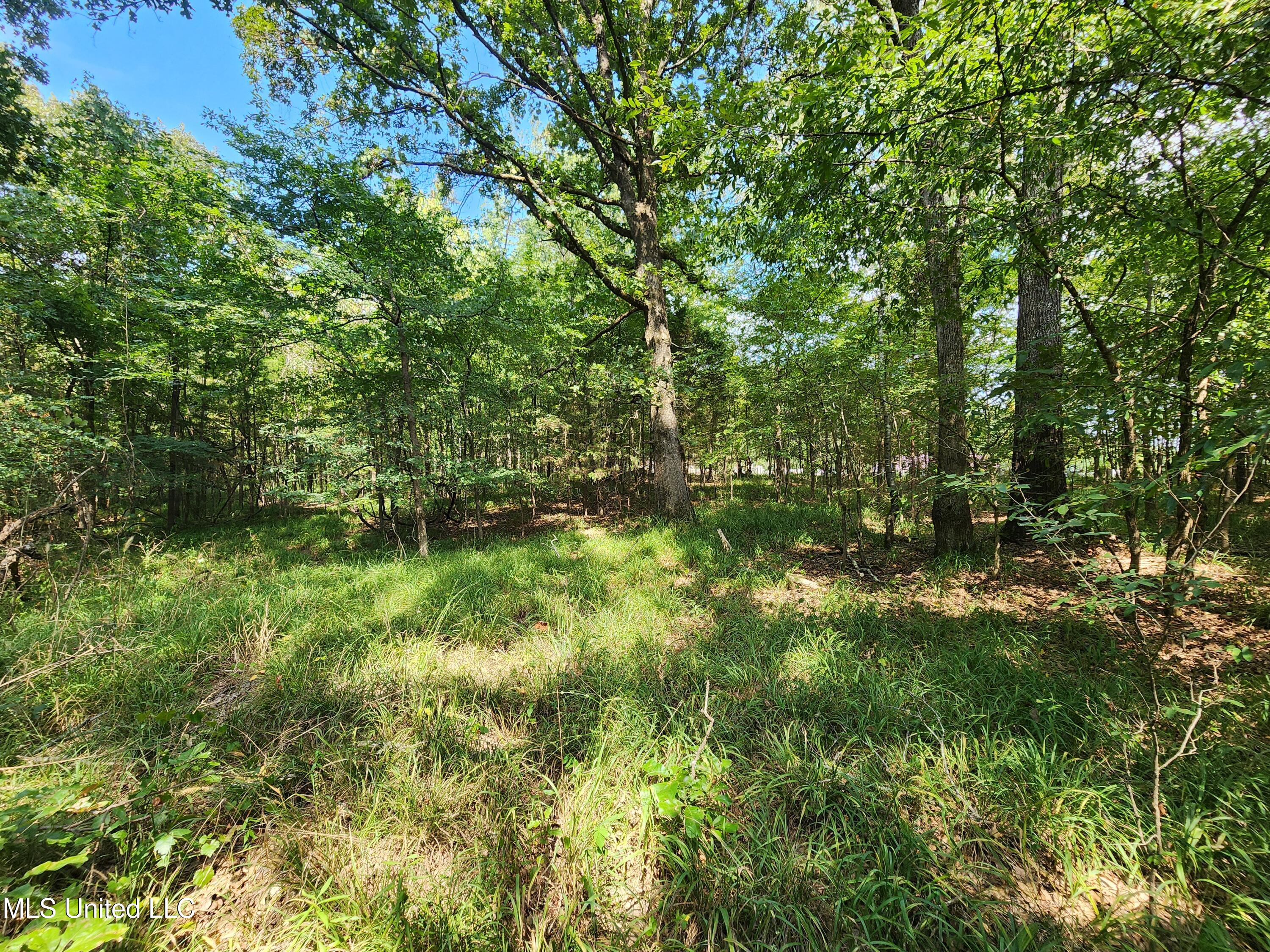 Walhill Road Coldwater, MS 38618 - Photo 12 of 14 20250817_145722