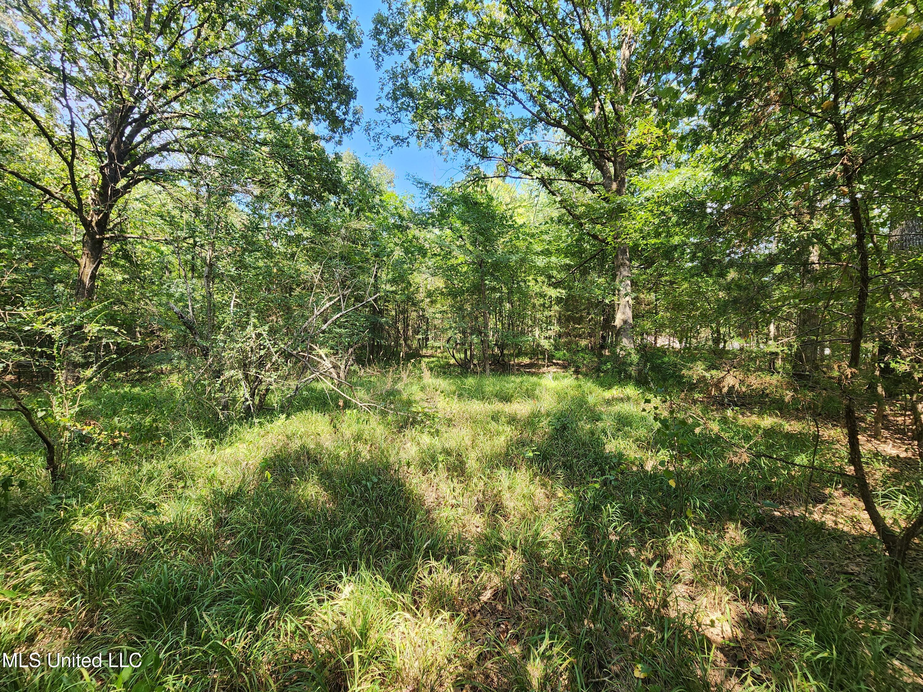 Walhill Road Coldwater, MS 38618 - Photo 4 of 14 20250817_144931
